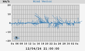 Wind Vector